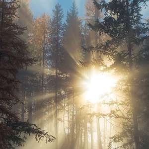 亚洲自拍小视频
